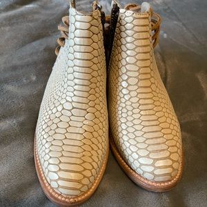 Free Bird by Steven, mule JOJO